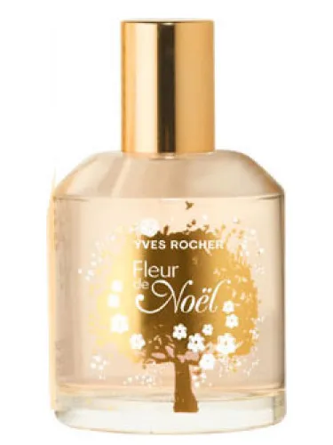 Fleur de Noel 2011
