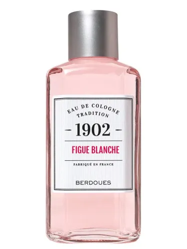 1902 Figue Blanche