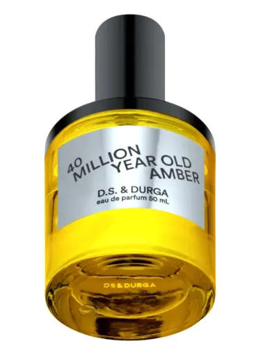 40 Million Year Old Amber