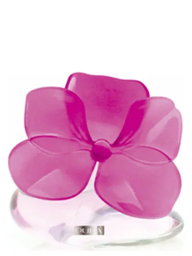 Very Flower Orchidea