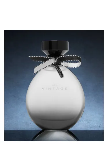 American Eagle AEO Vintage