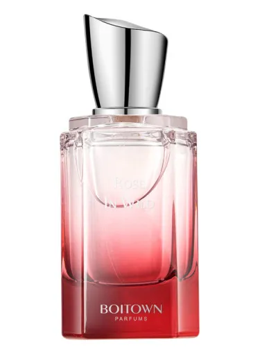 Rose In Wild 荒野玫瑰