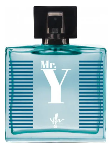 Mr. Y